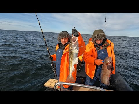 Видео: РЫБАЛКА НА БАРЕНЦЕВОМ МОРЕ / FISHING ON THE BARENTS SEA