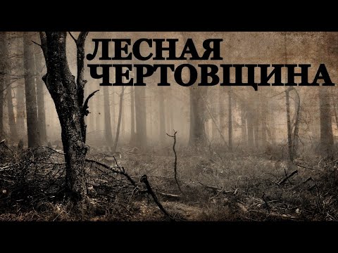 Видео: Лесная Чертовщина. Страшные истории на ночь про Лес (3в1)