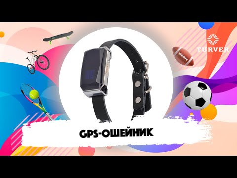 Видео: GPS-ОШЕЙНИК TURVER I ОБЗОР