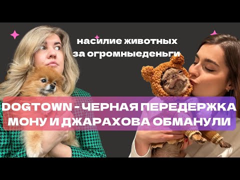 Видео: СОБАК ДЖАРАХОВА И МОНЫ БИЛИ ТОКОМ В ЧЁРНОЙ ПЕРЕДЕРЖКЕ | ПСИХОЛОГИЧЕСКИЙ РАЗБОР