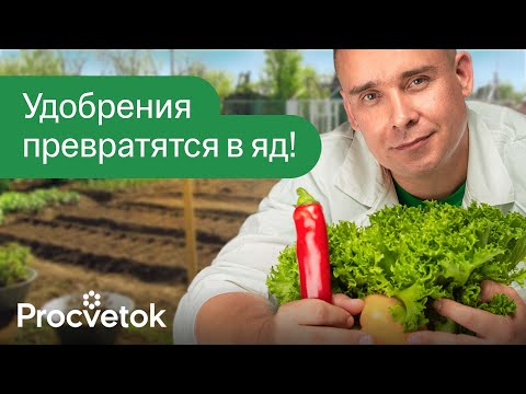 Видео: УДОБРЕНИЯ НАНОСЯТ ОГРОМНЫЙ ВРЕД, если использовать их так! Что будет, если перекормить растения?