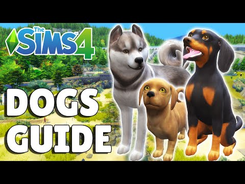 Видео: Все, что вам нужно знать о собаках в The Sims 4