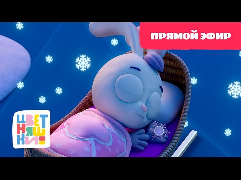 Видео: 💛Цветняшки - Колыбельные:  Сказки для спящих ребят -  Прямой Эфир - Развивающий мультфильм💛