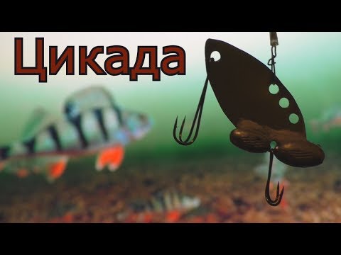 Видео: Как сделать цикаду для зимней и летней рыбалок?