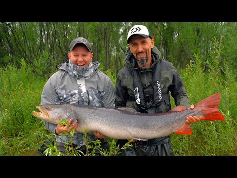 Видео: Дикая река. Часть 2