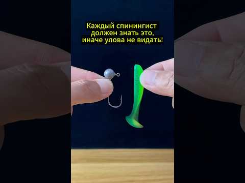 Видео: Каждый спиннингист должен знать это #рыбалка