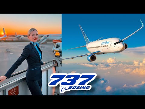 Видео: КОНСТРУКЦИЯ САМОЛЁТА BOEING 737✈️| Как всё устроено | Скандал с линейкой MAX  | Две авиакатастрофы!