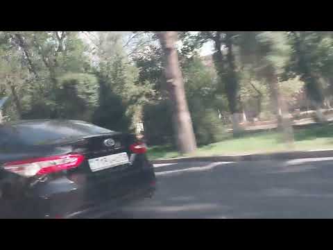 Видео: В парке нагумялись с детьми, теперь едем домой(12.08.2023)