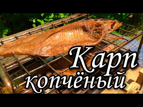 Видео: Карп горячего копчения. #копченый карп