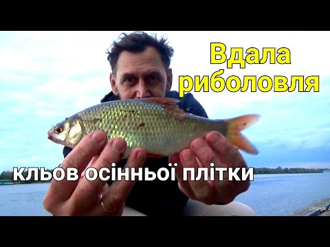 Видео: Рибалка в Києві Плітка рушила і гарно ловиться