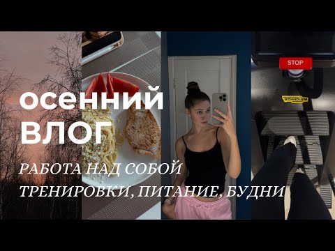 Видео: начинаю себя заново: тренировки, питание и жизнь между бизнесом и реализацией ✨