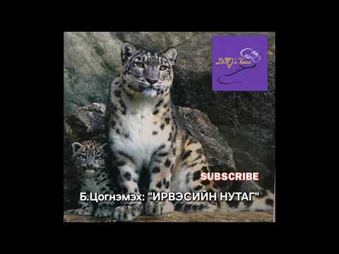 Видео: Б.Цогнэмэх "Ирвэсийн нутаг" өгүүллэг