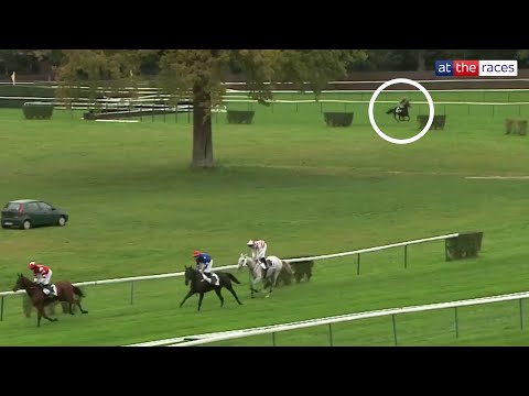 Видео: И он выиграл оттуда?! Лошадь даёт соперникам фору в 100 метров в безумной гонке!