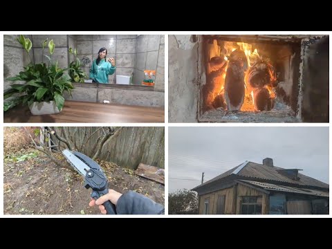 Видео: ОСЕННИЕ ДЕЛА | ДОМ С НОВЫМ КОНЬКОМ | ОБЗОР ПОКУПОК НА ДР