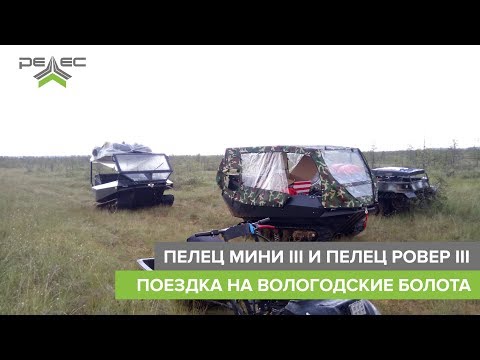Видео: Вездеходы "Пелец" на  болоте. Лето 2018