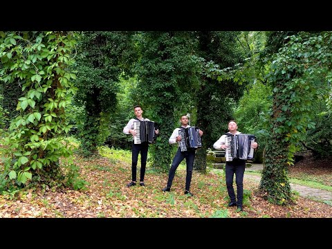 Видео: Контрастно - Българско Акордеонно Трио // Contrast - Bulgarian Accordeon Trio