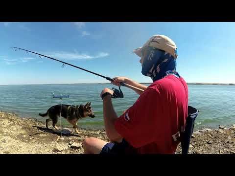 Видео: Ловля леща на Ириклинском водохранилище