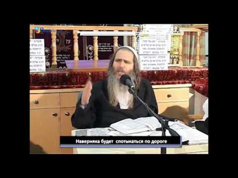 Видео: Наука радости  Рав Шалом Аруш