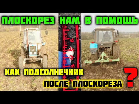 Видео: Плоскорезом КПШ 5 под будущий урожай подсолнечника. Окончание полевых работ в 2022 году.