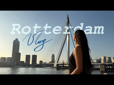 Видео: |Vlog| 72 часа в Роттердаме | Нидерланды 2025