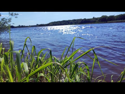 Видео: Рыбалка на Вятке. Рыбалка с прикормкой, первый опыт. Классный летний поход, чай со смородиной.