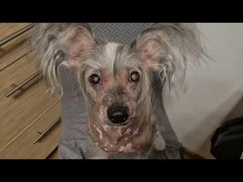 Видео: VLOG: 21.10.25 г. мой рацион/ готовлю рыбный суп/ бреемся