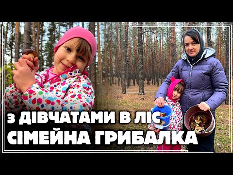 Видео: З ДІВЧАТАМИ в ЛІС! СІМЕЙНА ГРИБАЛКА у ЛИСТОПАДІ 2025 року в ДРІМУЧИХ ЛІСАХ СУМЩИНИ