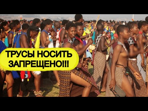 Видео: Многожёнство, танцы и коровы: Удивительная культура Эсватини!