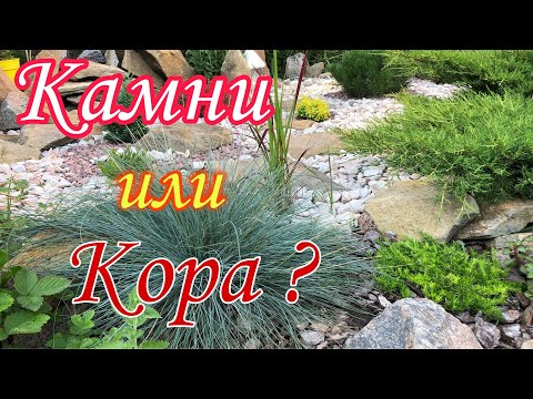 Видео: КОРА або КАМІННЯ? Мульчування квітників.Переваги та НЕДОЛІКИ. Квітники.Ландшафтний дизайн власноруч.