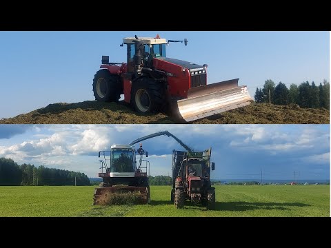 Видео: Начало заготовки силоса и сенажа 2021