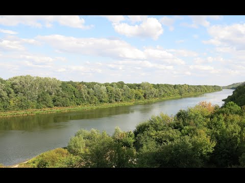 Видео: Село Щучье, едим шелковицу, купаемся на реке Дон. Пикник на природе в Лискинском районе.