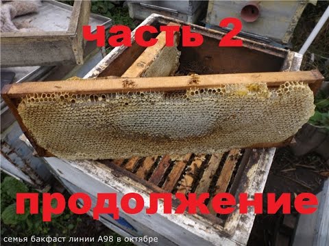 Видео: как я учился у опытных пчеловодов каждый год товарный мед получать - продолжение - часть 2
