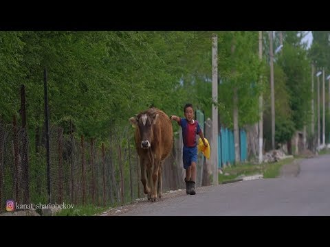 Видео: АЙЫЛДЫН ЖАШООСУН САГЫНДЫҢЫЗБЫ? Ноокат району, Көк-Бел айылы