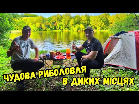 Видео: РИБОЛОВЛЯ З НОЧІВЛЕЮ В КРОПИВІ / ПРОДОВЖЕННЯ ПОХОДУ БЕРЕГАМИ РІЧКИ ПІВДЕННИЙ БУГ