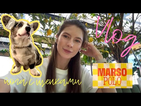 Видео: VLOG Питер: ЙОГА С ЩЕНКАМИ 🐶 Ресторан MARSO POLO 🥗 РОЗЫГРЫШ СТИКЕРОВ