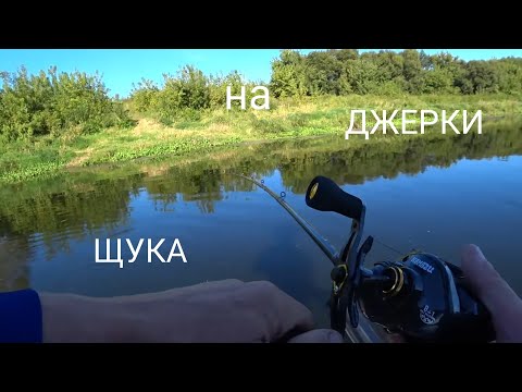 Видео: ЩУКА на КРУПНЫЕ ДЖЕРКИ!!! Сплав по Днепру!