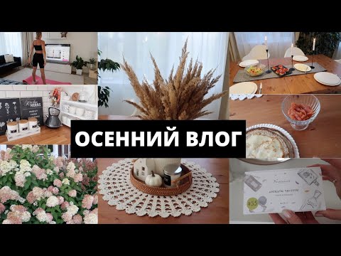 Видео: ГОДОВЩИНА СВАДЬБЫ ▪️ОСЕННИЙ ДЕКОР В ДОМЕ▪️ПРОГУЛКА ПО САДУ