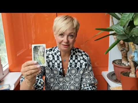 Видео: ✨ВЕСЫ. ПРОГНОЗ НА ОКТЯБРЬ 2025 года, ОТ МАРГАРИТЫ ДУХОВНОЙ.✨