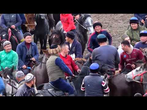 Видео: КАЛМАК-КЫРЧЫН АЙЫЛЫНЫН КУЛУНУУ НУРБЕК ПАЛВАН БИР ТАЙ, БИР ТОПОЗ, ОН МИҢ СОМГО ТАШТАДЫ