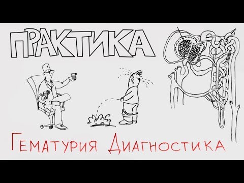 Видео: Гематурия. Диагностика