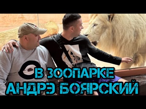 Видео: Андрэ Боярский В Зоопарке