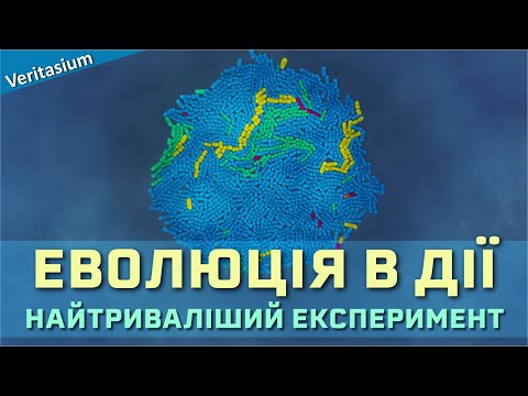 Видео: Найтриваліший еволюційний експеримент [Veritasium]