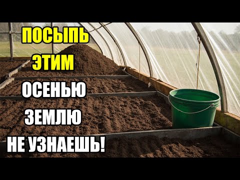 Видео: Внесите это в почву осенью — земля оживёт! Лучшая замена навозу и всем удобрениям!