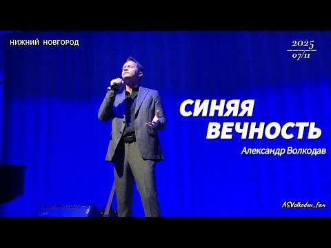 Видео: "Синяя вечность"- исп. Александр Волкодав #гастроли гр.САМОЦВЕТЫ Нижний Новгород 07/11/25 #volkodav