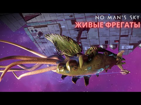 Видео: Как получить Живой Фрегат и Детектор Аномалии [NMS Endurance] #28