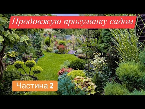 Видео: ЗАТИШНІ МІСЦЯ В САДУ НА ПОЧАТКУ ОСЕНІ🍁