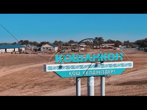 Видео: #ayanba #horse #жылқы