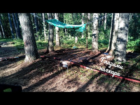 Видео: Глазами начкара #39: Два выезда. Лес и банька.