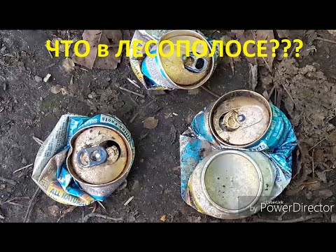 Видео: Что в лесополосе? Поиск алюминиевых банок и металлолома.