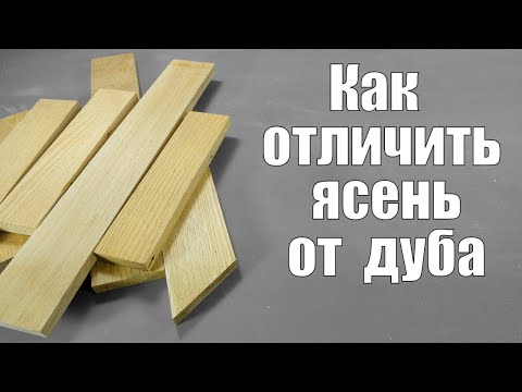 Видео: Как отличить  древесину дуба от ясеня Столярные уроки Ashwood and Oakwood